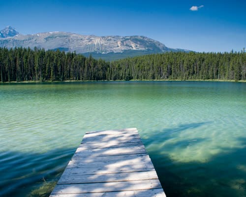 Reiseangebote Jasper